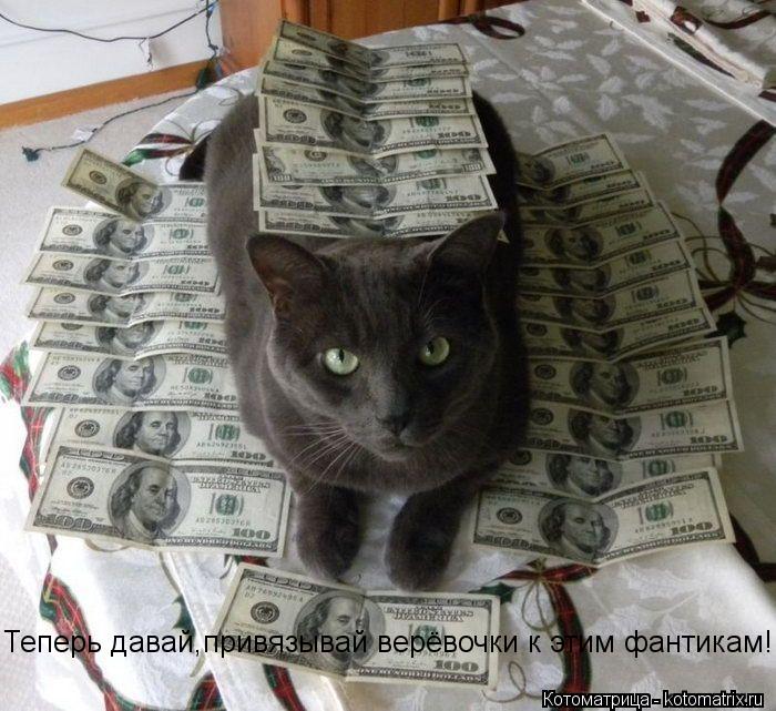 Котоматрица: Теперь давай,привязывай верёвочки к этим фантикам!