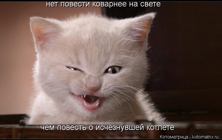Котоматрица: нет повести коварнее на свете чем повесть о исчезнувшей котлете
