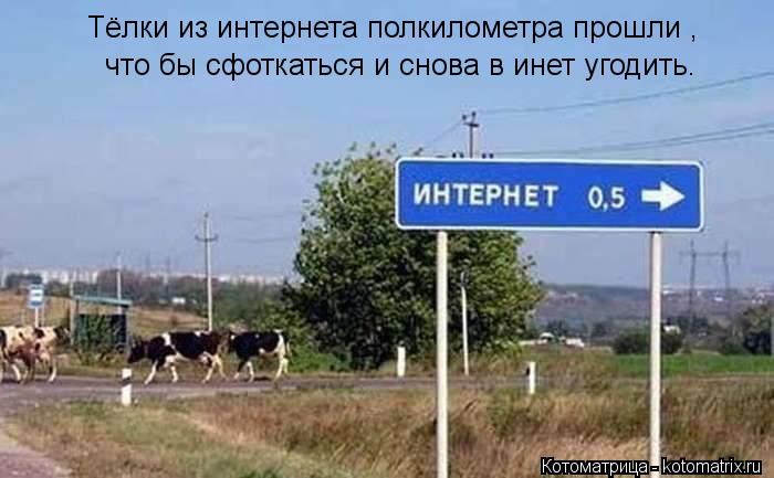 Котоматрица: Тёлки из интернета полкилометра прошли ,  что бы сфоткаться и снова в инет угодить.
