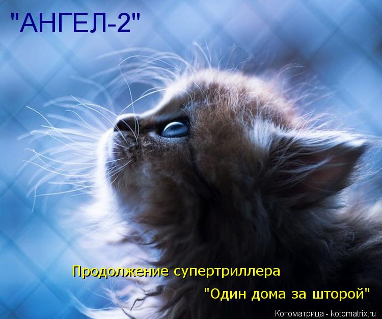 Котоматрица: "АНГЕЛ-2"  Продолжение супертриллера "Один дома за шторой"