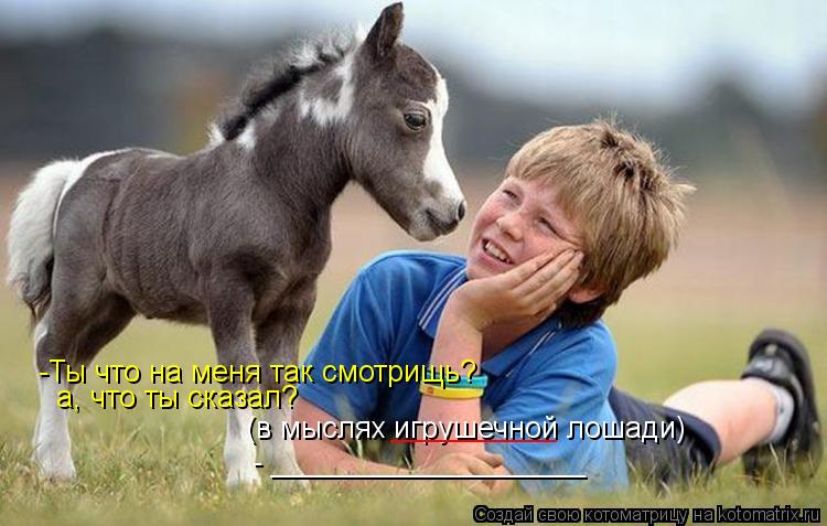 Котоматрица: -Ты что на меня так смотрищь? а, что ты сказал? (в мыслях игрушечной лошади) - ___________________ __________