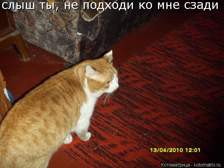 Котоматрица: слыш ты, не подходи ко мне сзади