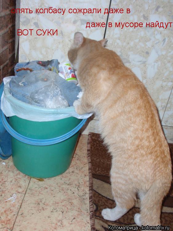 опять колбасу сожрали даже в даже в мусоре найдут ВОТ СУКИ... Котоматрица: опять колбасу сожрали даже в даже в мусоре найдут ВОТ СУКИ