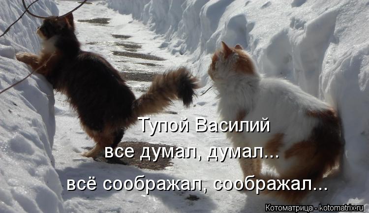 Котоматрица: Тупой Василий всё соображал, соображал... все думал, думал...