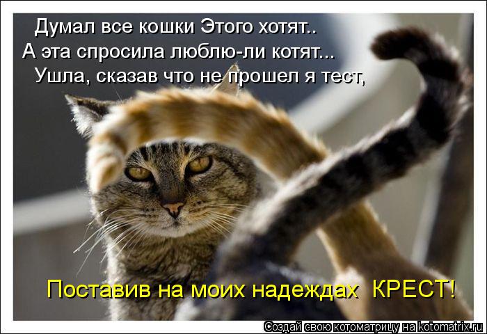 Котоматрица: Думал все кошки Этого хотят.. А эта спросила люблю-ли котят... Ушла, сказав что не прошел я тест, Поставив на моих надеждах  КРЕСТ!
