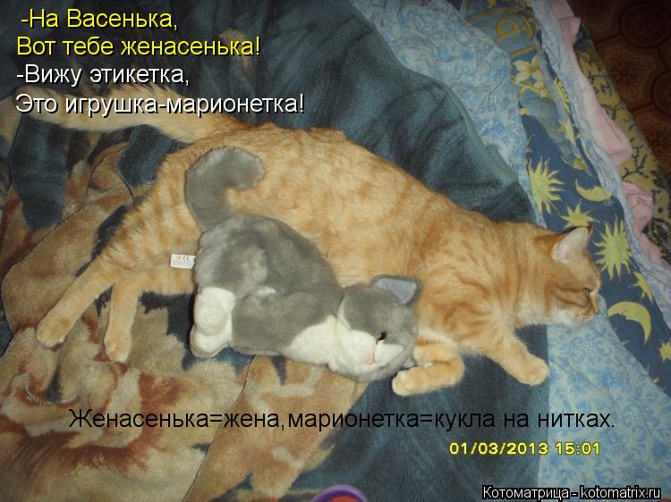 Котоматрица: -На Васенька, Вот тебе женасенька! -Вижу этикетка, Это игрушка-марионетка! Женасенька=жена,марионетка=кукла на нитках.