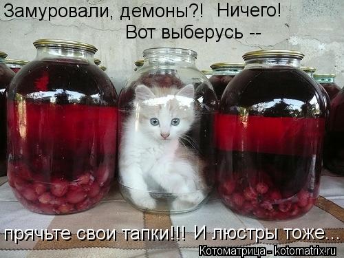Котоматрица: Замуровали, демоны?! Ничего! Вот выберусь -- прячьте свои тапки!!! И люстры тоже...
