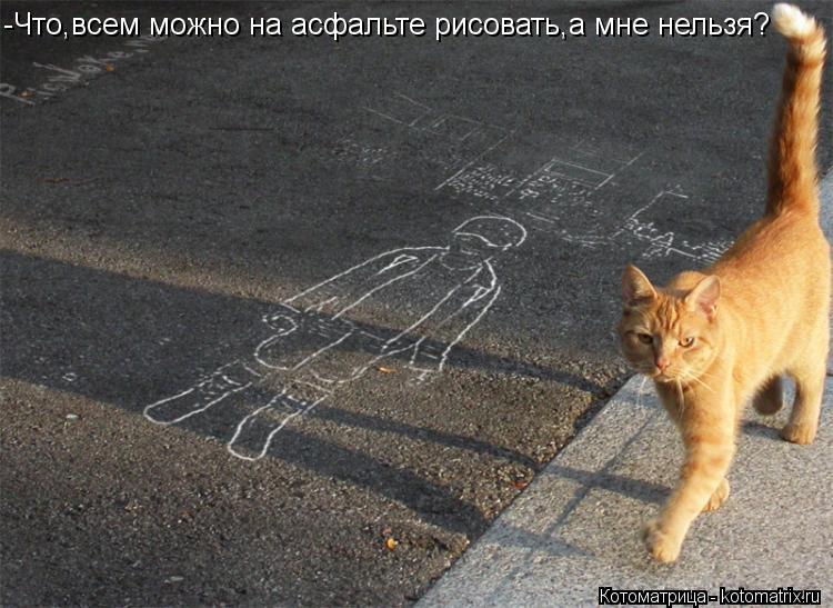 Котоматрица: -Что,всем можно на асфальте рисовать,а мне нельзя?