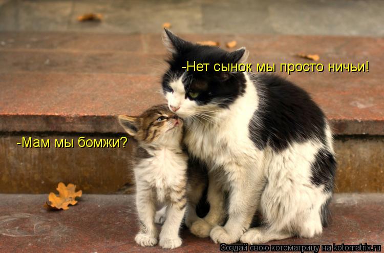 Котоматрица: -Мам мы бомжи? -Нет сынок мы просто ничьи!
