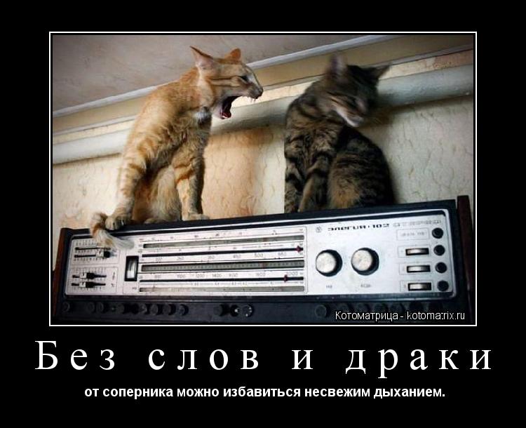 Без слов и драки от соперника можно избавиться несвежим дыханием.... Котоматрица: Без слов и драки от соперника можно избавиться несвежим дыханием.
