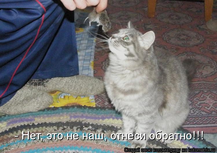 Котоматрица: - Нет, это не наш, отнеси обратно!!!