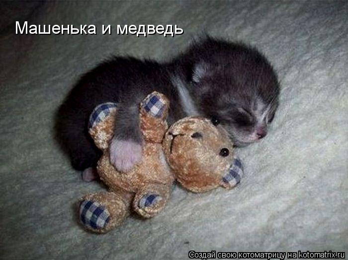 Котоматрица: Машенька и медведь