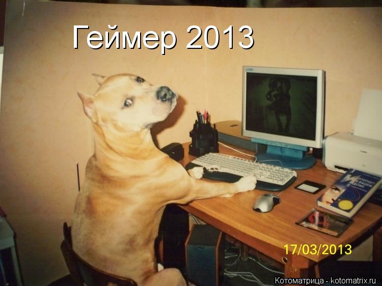 Котоматрица: Геймер 2013