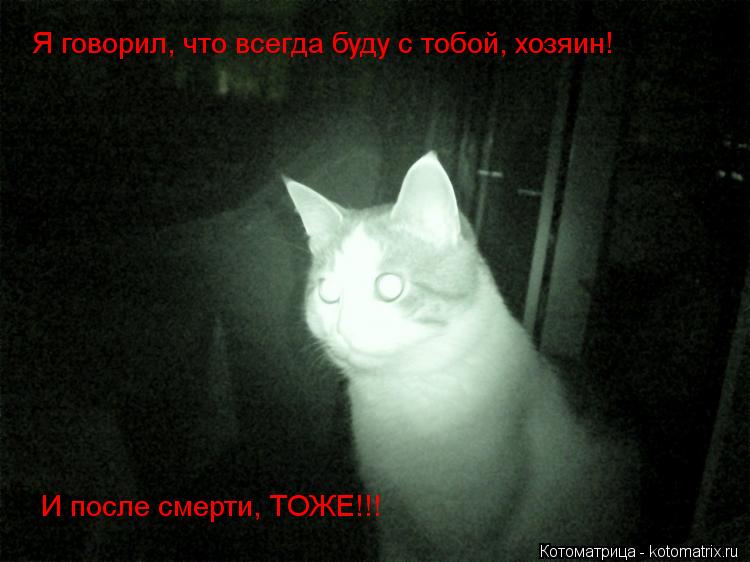 Котоматрица: И после смерти, ТОЖЕ!!! Я говорил, что всегда буду с тобой, хозяин!