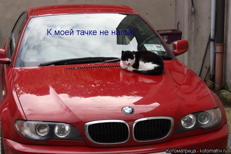 Котоматрица: К моей тачке не нагой!