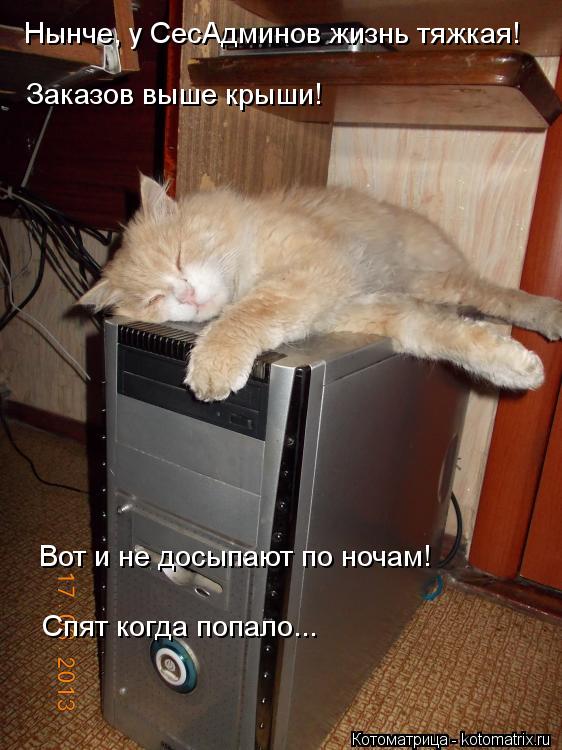Котоматрица: Нынче, у СесАдминов жизнь тяжкая! Заказов выше крыши! Вот и не досыпают по ночам!  Спят когда попало...