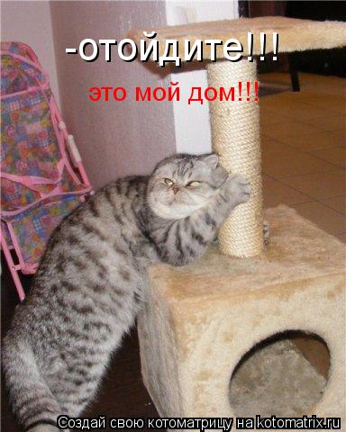 Котоматрица: -отойдите!!! это мой дом!!!