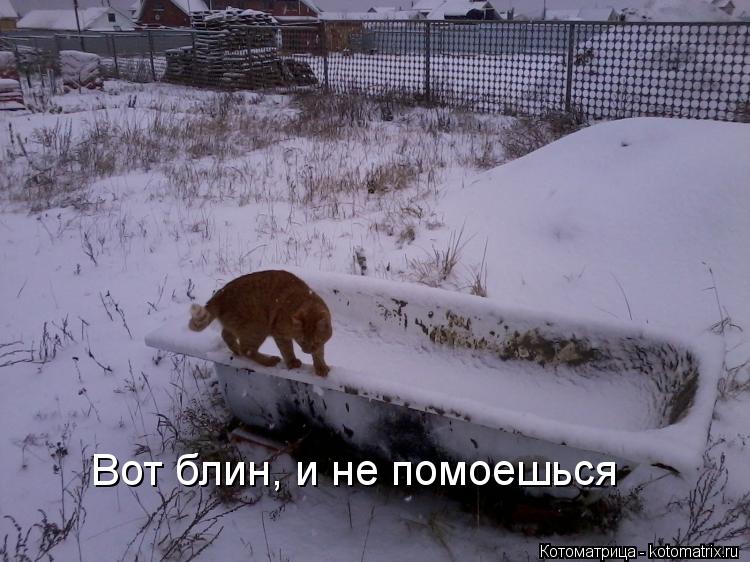 Котоматрица: Вот блин, и не помоешься