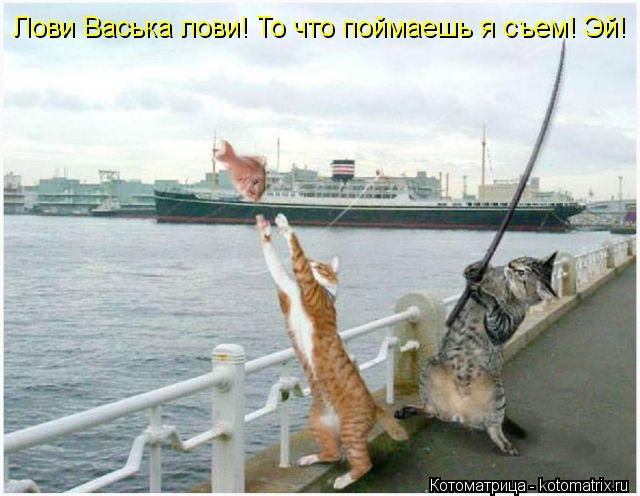 Котоматрица: Лови Васька лови! То что поймаешь я съем! Эй!