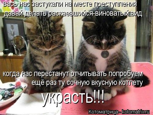 Котоматрица: давай делать раскаевшийся-виноватый вид вась нас застукали на месте преступления когда нас перестанут отчитывать попробуем ещё раз ту соч
