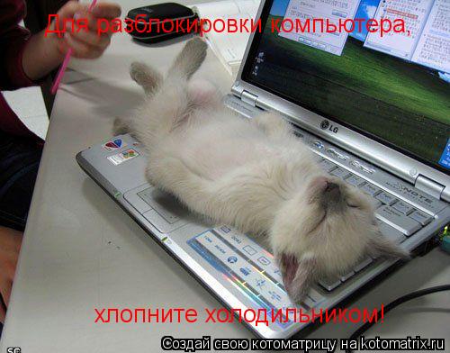 Котоматрица: Для разблокировки компьютера, хлопните холодильником!