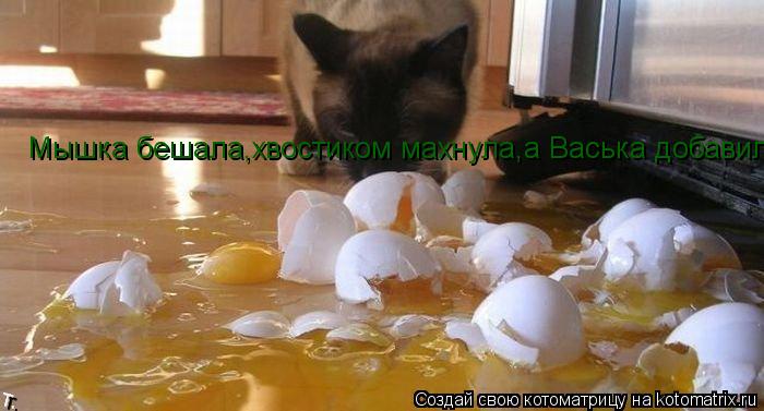 Котоматрица: Мышка бешала,хвостиком махнула,а Васька добавил.