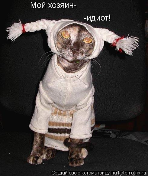 Котоматрица: Мой хозяин- -идиот!