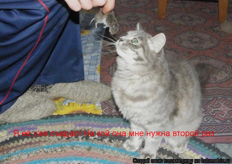 Котоматрица: Я её уже съедал! На кой она мне нужна второй раз