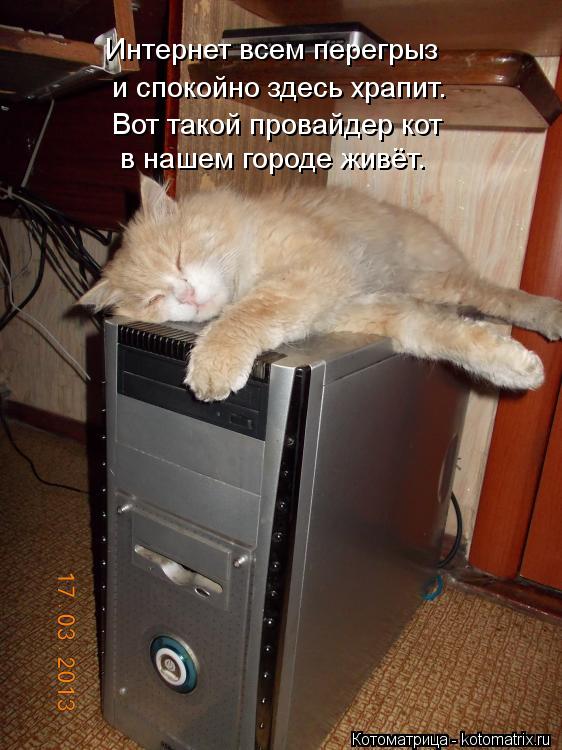Котоматрица: и спокойно здесь храпит. Интернет всем перегрыз  Вот такой провайдер кот в нашем городе живёт.