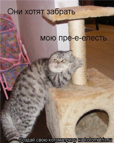 Котоматрица: Они хотят забрать мою пре-е-елесть...