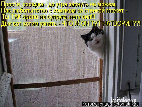 Котоматрица: Прости, соседка - до утра заснуть не можем, Нас любопытство с хомяком за стенкой гложет -  Ты ТАК орала на супруга, нету сил!!! Дык вот хотим узн