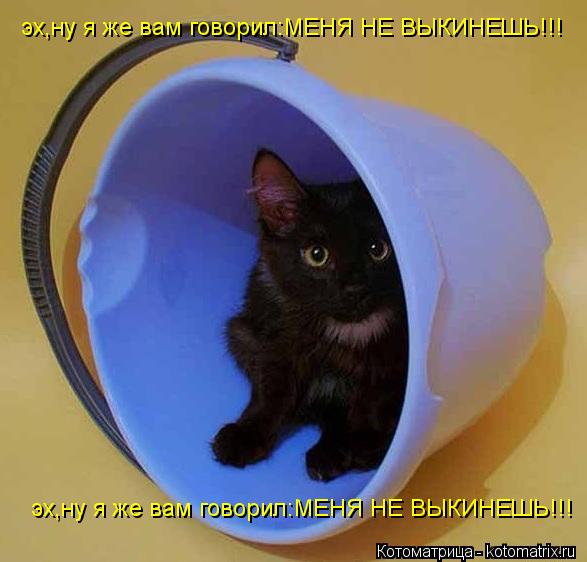 Котоматрица: эх,ну я же вам говорил:МЕНЯ НЕ ВЫКИНЕШЬ!!! эх,ну я же вам говорил:МЕНЯ НЕ ВЫКИНЕШЬ!!!