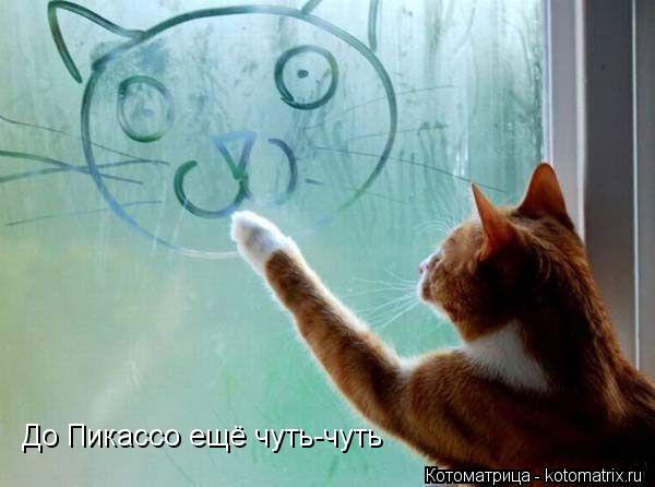 Котоматрица: До Пикассо ещё чуть-чуть