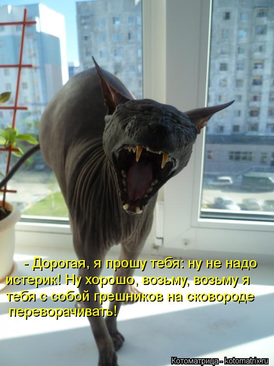 Котоматрица: - Дорогая, я прошу тебя: ну не надо  истерик! Ну хорошо, возьму, возьму я  тебя с собой грешников на сковороде переворачивать!