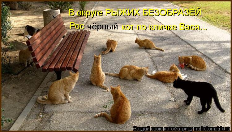 В округе РЫЖИХ БЕЗОБРАЗЕЙ Рос чёрный кот по кличке Вася...... Котоматрица: В округе РЫЖИХ БЕЗОБРАЗЕЙ Рос чёрный кот по кличке Вася...