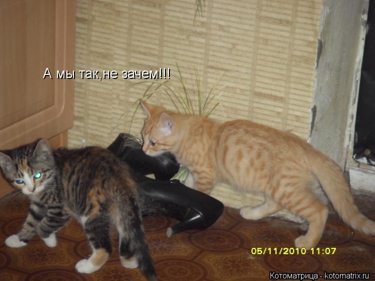 Котоматрица: А мы так,не зачем!!!