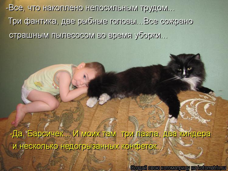 Котоматрица: -Все, что накоплено непосильным трудом... Три фантика, две рыбные головы...Все сожрано страшным пылесосом во время уборки... -Да, Барсичек... И м