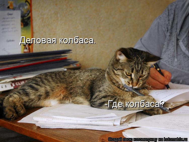 Котоматрица: Деловая колбаса. -Где колбаса?