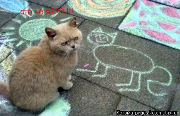 Котоматрица: это чё я???!!!!
