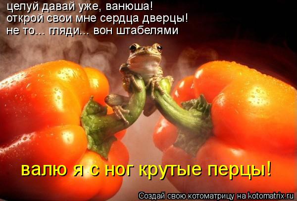 Котоматрица: целуй давай уже, ванюша! открой свои мне сердца дверцы! не то... гляди... вон штабелями  валю я с ног крутые перцы!