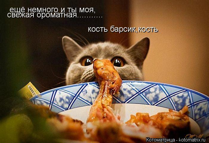 Котоматрица: ещё немного и ты моя, свежая ороматная........... кость барсик,кость