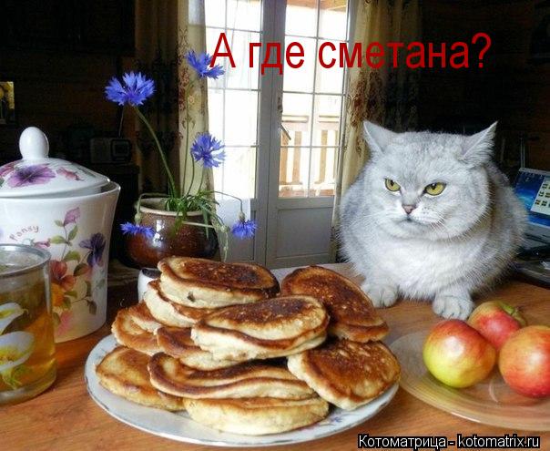 Котоматрица: А где сметана?