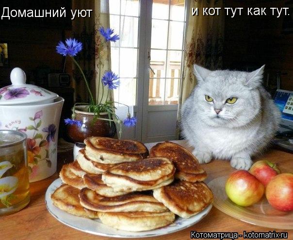 Котоматрица: Домашний уют и кот тут как тут.