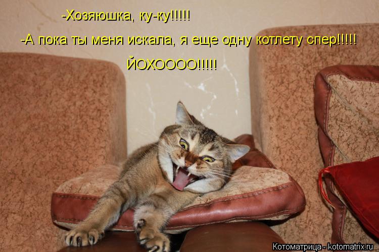 Котоматрица: -Хозяюшка, ку-ку!!!!! -А пока ты меня искала, я еще одну котлету спер!!!!! ЙОХОООО!!!!!