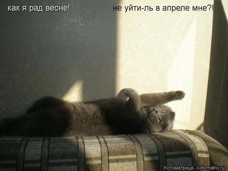 Котоматрица: как я рад весне!  как я рад весне!  не уйти-ль в апреле мне?!