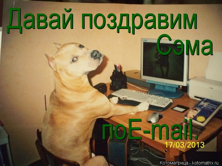 Котоматрица: Давай поздравим  Сэма поE-mail.