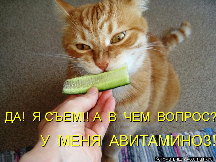 Котоматрица: ДА!  Я СЪЕМ!! А  В  ЧЕМ  ВОПРОС?! У  МЕНЯ  АВИТАМИНОЗ!!