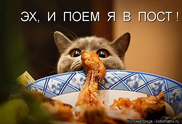 Котоматрица: ЭХ,  И  ПОЕМ  Я  В  ПОСТ !