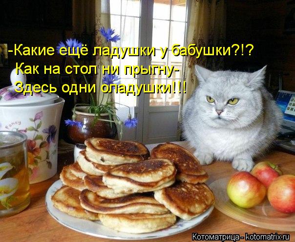 Котоматрица: Здесь одни оладушки!!! Как на стол ни прыгну- -Какие ещё ладушки у бабушки?!?