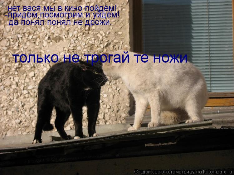 Котоматрица: нет вася мы в кино пойдём! -придём,посмотрим и уйдём! да понял понял не дрожи. только не трогай те ножи